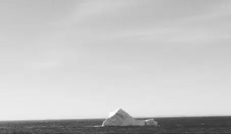 Baby berg in Labrador current